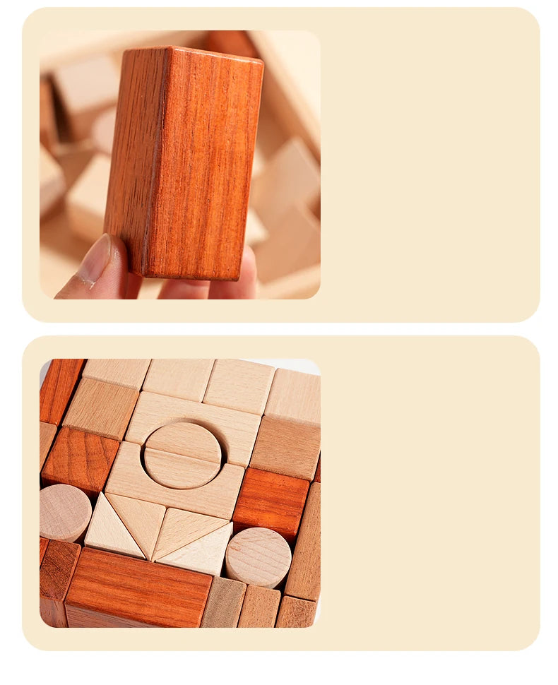 BuildNest - Wooden Block Puzzle Set
