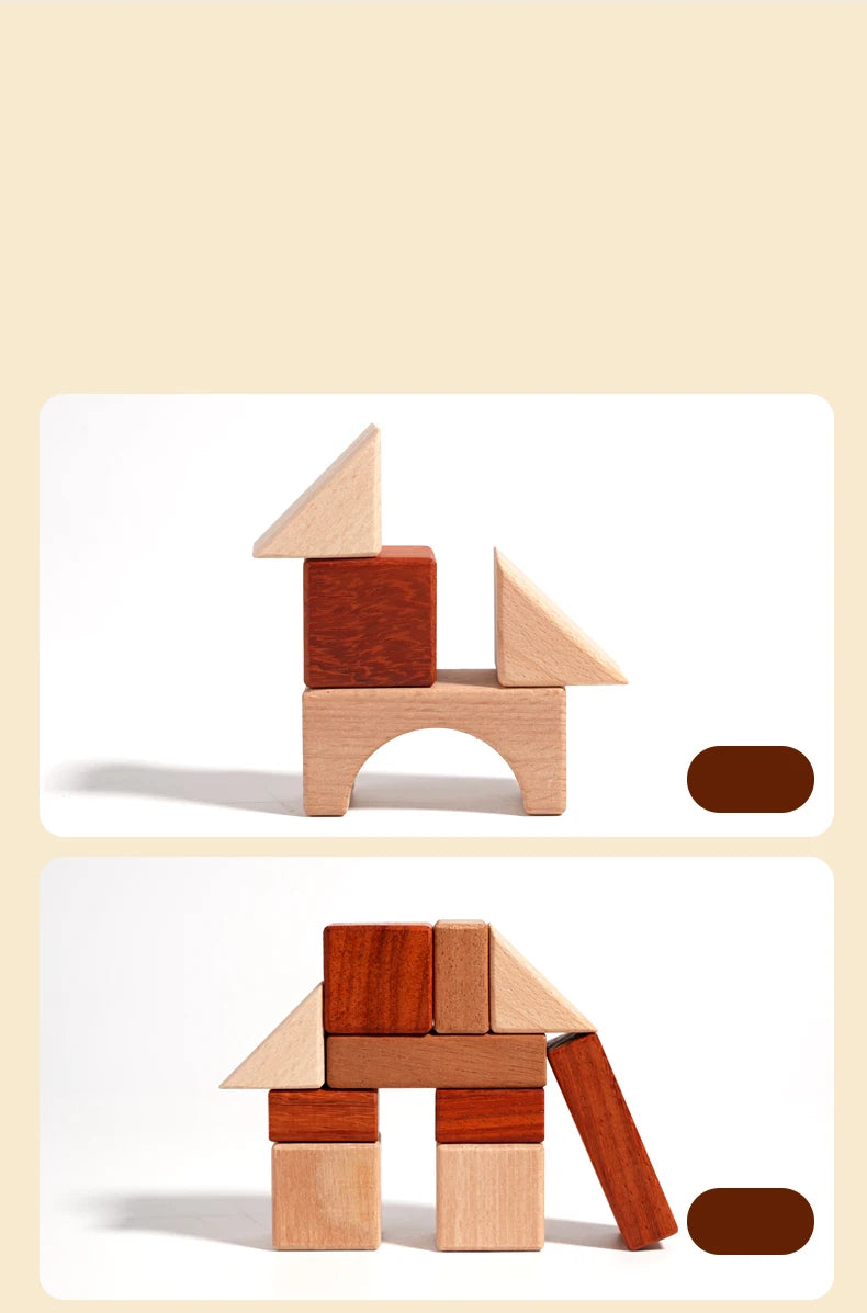 BuildNest - Wooden Block Puzzle Set