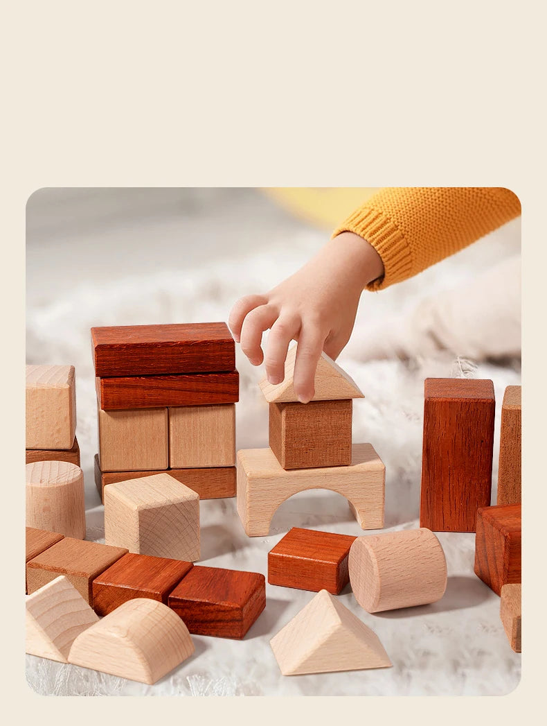 BuildNest - Wooden Block Puzzle Set