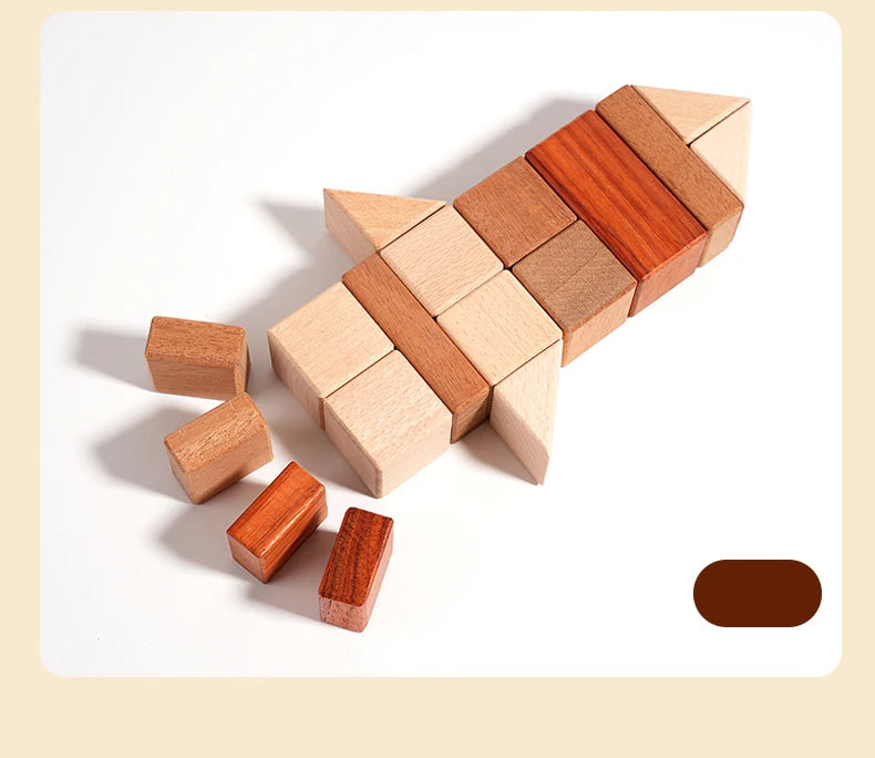 BuildNest - Wooden Block Puzzle Set