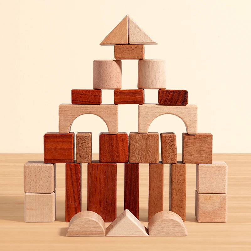 BuildNest - Wooden Block Puzzle Set